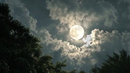Wall Mural - full moon through clouds in a lush forest