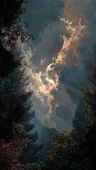 Wall Mural - vertical video full moon through clouds in a lush forest