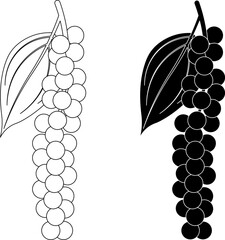 Wall Mural - outline silhouette black pepper icon set