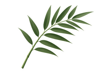 Fototapete - Photorealistic green leaf branch isolated on transparent background, perfect for nature-themed designs and compositions
