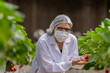© ultramansk - A worker in full protective gear harvests ripe strawberries, ensuring food safety and hygiene in a modern greenhouse. Concept for quality control and clean eating.