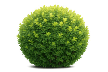 Fototapete - Lush, round bush with vibrant green leaves, isolated on a transparent background, perfect for landscaping and design projects