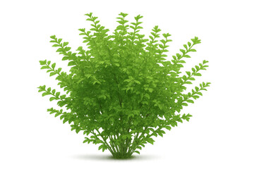 Fototapete - Detailed 3d rendering depicting lush green bush with crisp foliage, standing against transparent backdrop, ideal for design visualization and landscaping
