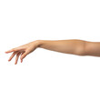 © princes empire - Graceful female arm reaching out, elegant hand gesture on white background, outstretched woman limb and fingers for composite design