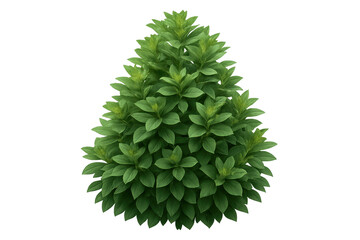 Fototapete - Lush green bush isolated on transparent background, perfect for architectural visualization or landscape design