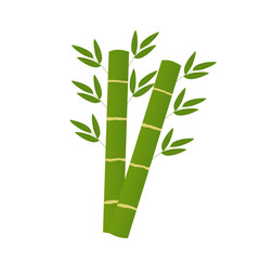 Illustration of bamboo with green leaves. Bamboo illustration. Flat design illustration of green bamboo. Cartoon illustration of bamboo
