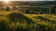 © ABU - Golden hour sunbeams illuminate rolling hills and wildflowers in a lush meadow