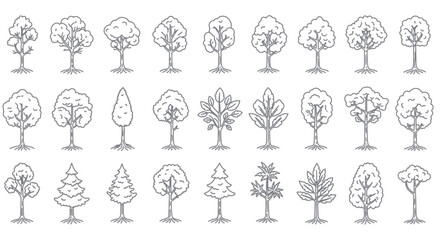 Poster - Collection of Different Tree Styles Vector Illustration in Outline Drawing Style