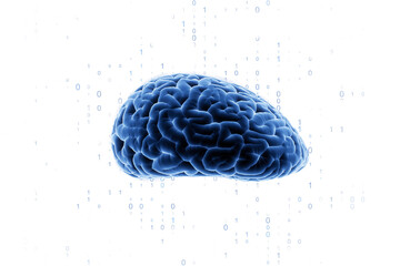 Poster - Blue brain model isolated on white with floating binary digits, clean abstract layout representing intelligence, technology, and online networks. 3D Rendering.