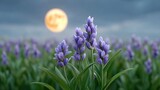 Close up view of purple hyacinth flowers in a field at dusk with a hazy moon in the sky