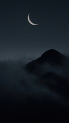 Wall Mural - serene crescent moon nightscape.
