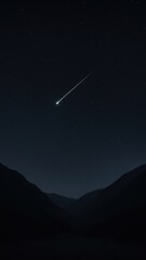 Wall Mural - serene night sky with meteor.