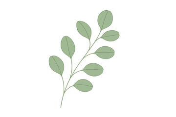 Fototapete - Delicate eucalyptus branch featuring verdant leaves, floating against transparent backdrop, enhancing botanical graphic design elements