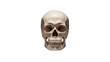 © Designer845 - human skull i