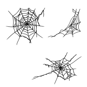 Spider's web, set of silhouettes, black and white ink sketch. Vector illustration. Traditional decor is a Halloween celebration, isolated on a white background. For postcards, invitations, printing
