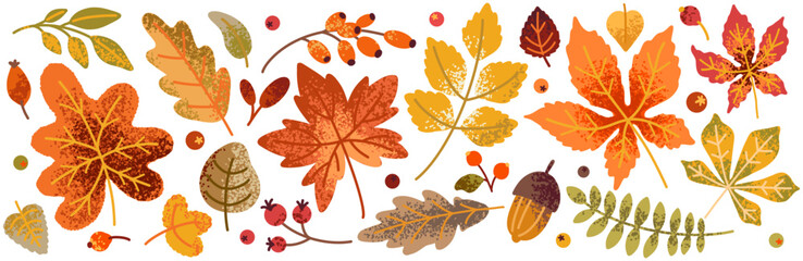 Autumn leaves set. Fall maple, oak, chestnut leaves, berries, acorn, forest foliage. Botanical elements of natural floral design. Flat vector illustration isolated on white background