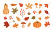 © Myurenn - Autumn trendy set of leaves, pumpkins, berries and mushrooms