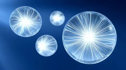 Poster - a series of clear spheres are floating in the air. the spheres are all different sizes and are scatt