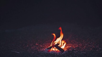 Poster - Vibrant orange flames dancing upward from burning wooden logs, illuminating surrounding darkness with intense heat and mesmerizing glow