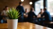 © Arx PhotoStock - Indoor plant on table in blurred office or cafe setting