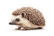 © Hype2Art - Hedgehog animal with spines in cute nature wildlife portrait of adorable small mammal