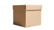 © Thomas - Professional Closed Cardboard Box Mockup on White Background