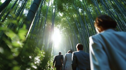 Poster - People walking through a lush bamboo forest with sunlight filtering through the trees in the early morning