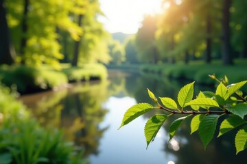 Wall Mural - blurred natural landscape, perfect for product display, blur, website, graphic