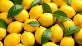 Fresh lemons with leaves