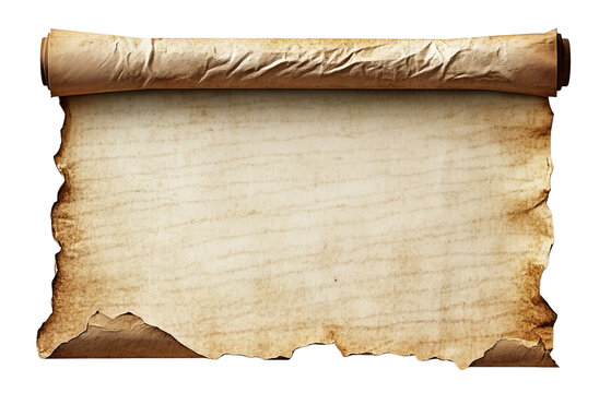 Ancient rolled parchment scroll with torn edges, isolated on transparent cutout background
