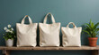 © md - Three blank canvas tote bags of varying sizes displayed on a wooden shelf with plants