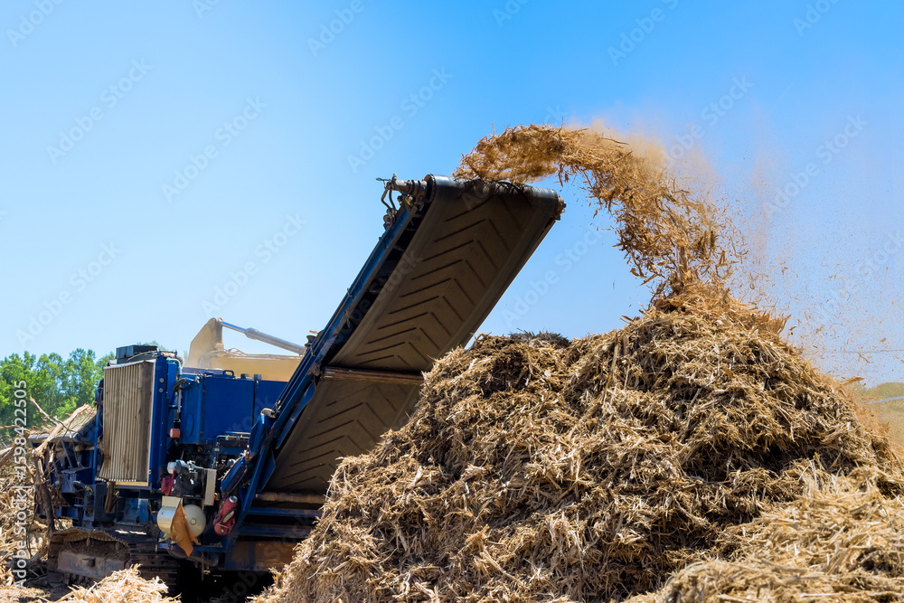 Large machine mulches wooden material at farming location under land ...