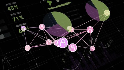 Poster - On data load, pink nodes linking while charts sliding and network shifting to display connections