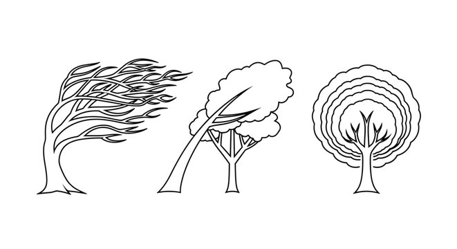 Illustration showing three stylized trees with varying shapes and branch structures depicted as outlines