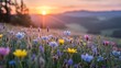 © Muhashin - A vibrant spring landscape capturing the beauty of nature as the sun rises and sets over mountains and fields filled with pink and purple wildflowers in bloom under a blue summer sky