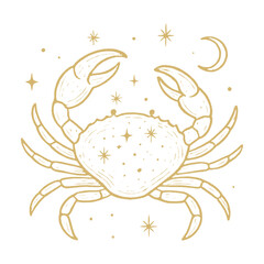 Celestial crab cosmic illustration vector