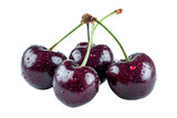 fresh cherries with water droplets on transparent background.