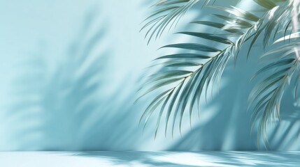 Poster - Lush palm fronds reach out gracefully, their shadows dancing on a soft blue backdrop. Natural light enhances the tranquil atmosphere, inviting relaxation and calm.