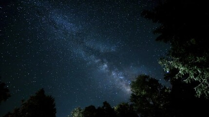 Wall Mural - A mesmerizing view of a starry night sky reveals the Milky Way arching over a peaceful forest. The trees frame the celestial wonder, creating a serene atmosphere.