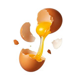 A brown egg cracks open with its bright yellow yolk and white spilling out, creating a dynamic culinary splash against a dark backdrop.