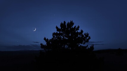 Wall Mural - crescent young moon with stars, planets and windy tree silhouettes.