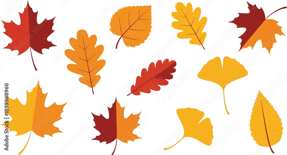 Autumn leaves vector illustration set of colorful fall foliage maple ...