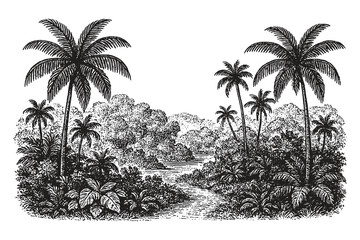 Black and white vintage drawing of a lush tropical jungle landscape with palm trees and dense vegetation in detailed sketch style.