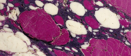 Poster - Microscopic view of tissue cells in pink and white, revealing detailed biological structures