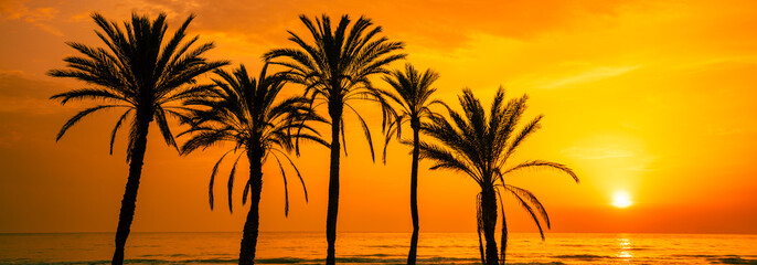 Wall Mural - Seascape in the early morning during a beautiful orange sunrise. Palm trees on the beach. San Juan beach, Alicante, Spain