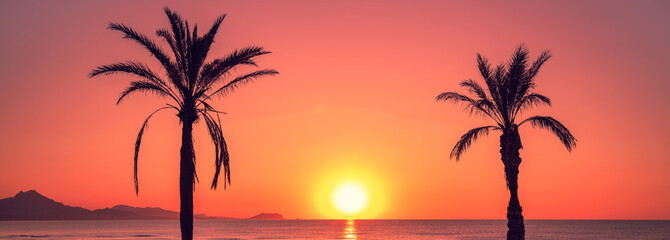 Wall Mural - Seascape in the early morning during a beautiful orange sunrise. Palm trees on the beach. San Juan beach, Alicante, Spain