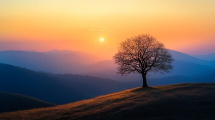 Poster - Tree stands alone on a hillside at sunset