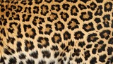 Close-up leopard skin texture (4)