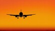 © Both - Silhouette of an airplane landing at sunset