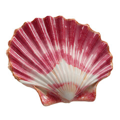 Delicate ceramic seashell display object with pink and white gradient design, isolated on transparent background